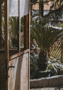 木质阳台外的绿植景致