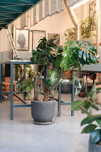 室内绿植装饰的温馨角落
