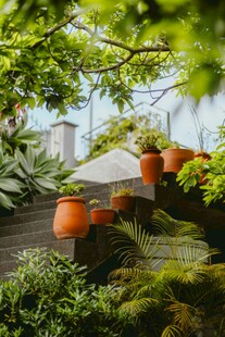 户外绿植环绕的休闲小景