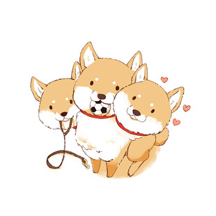 三只可爱柴犬温馨相伴