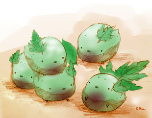 青绿色带叶果实插画