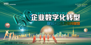 会议背景