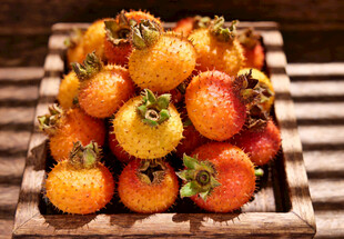 木托盘上的刺梨