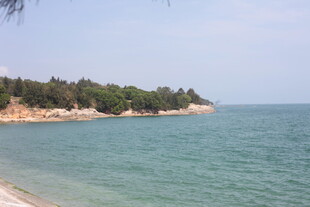 美丽海滨风光