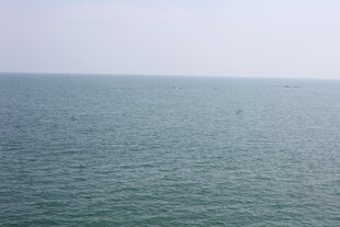 广阔海面的宁静景象