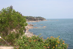 海岸边繁茂植被与辽阔海景