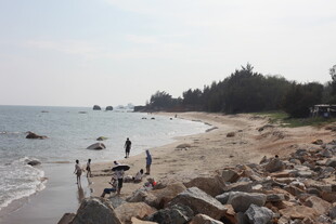 海边漫步的悠闲场景