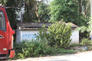 路边小屋与绿植及红色车辆