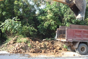 卡车旁大象搬运土石场景