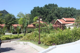 乡村美景 红顶房屋绿树环绕