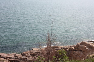 海边岩石旁的自然景致