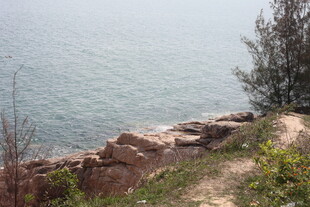 海边岩石旁的绿植景观
