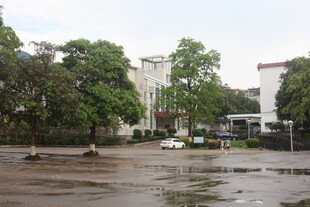 城市街道雨后积水景象