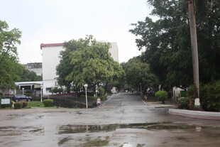 雨后校园道路景观