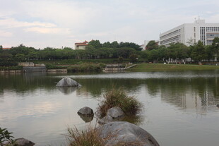 湖畔景致 宁静自然之美