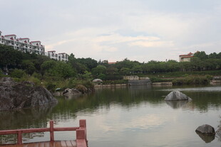 湖畔风光 宁静自然景致