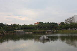 湖畔景致 静谧城市风光