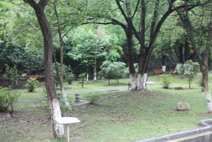 静谧林间公园景致