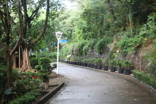 蜿蜒山间绿植环绕的小径