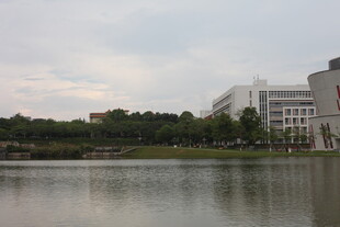 湖畔校园建筑风景