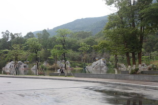 山间雨后湿润的开阔景致