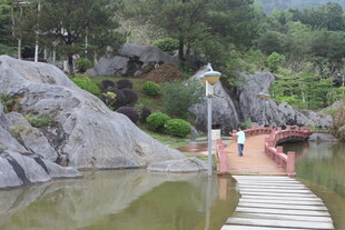 山水间木桥漫步景致