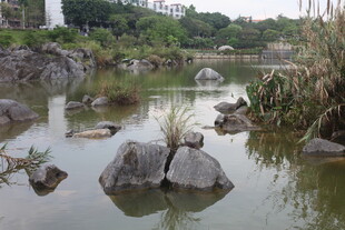 自然水景中的嶙峋怪石