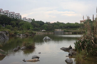 湖畔自然风光景致