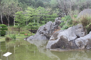 自然山水间的静谧池塘