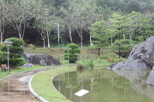 园林池塘边的自然景致