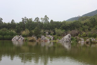 湖畔奇石与葱郁山林景观