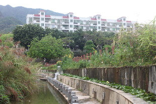 河畔绿植环绕的居民楼