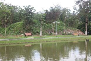 湖畔公园静谧景致