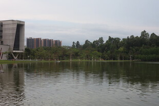 湖畔建筑与葱郁树林景观