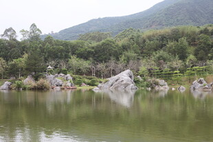 湖畔山石绿树环绕美景