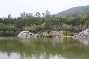 湖畔山林景 自然好风光