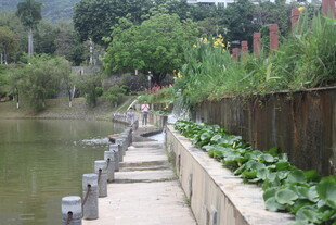 河边木质栈道风景