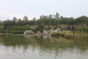 湖畔假山绿植风景图