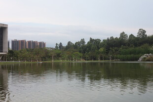 湖畔风光 城市与自然交融