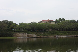 湖畔绿树环绕的静谧景致