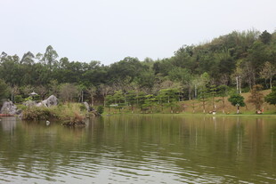 宁静湖畔的自然景致