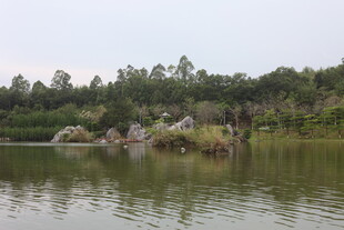 湖畔绿树环绕的宁静景致