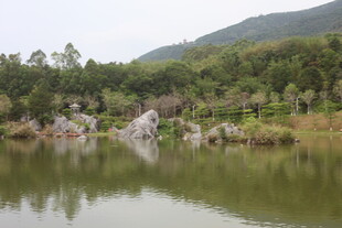 湖畔山石绿植自然风光