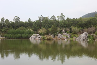 湖畔山林景 静谧自然美