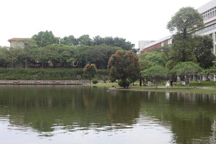 湖畔绿树环绕的宁静景致