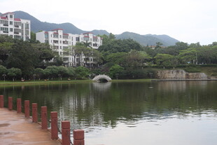 湖畔楼宇与远山景致