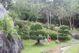 园林景观绿意盎然