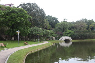 湖畔绿荫小道与拱桥美景