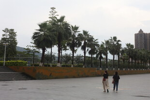 城市广场漫步的行人