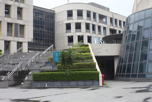 校园阶梯绿植景观